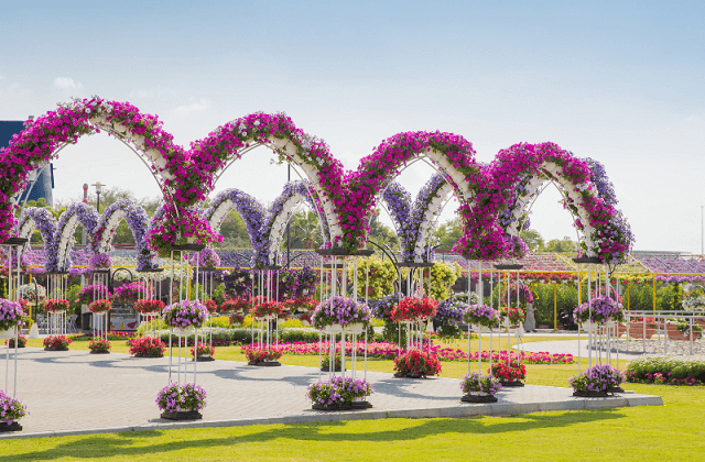 Dubai Miracle Garden