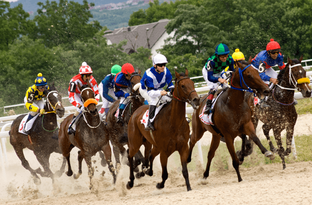 horse racing