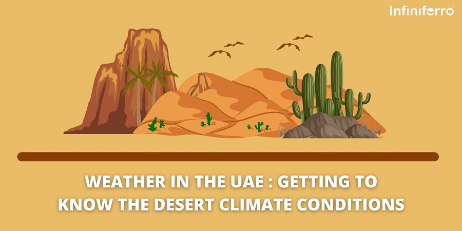 Weather in the UAE: Getting to Know the Desert Climate Conditions